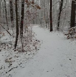 Meet your Posher, Paul